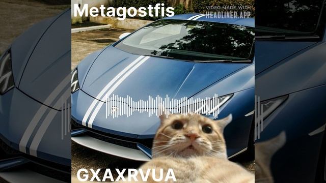 METAGHOSTFIS
