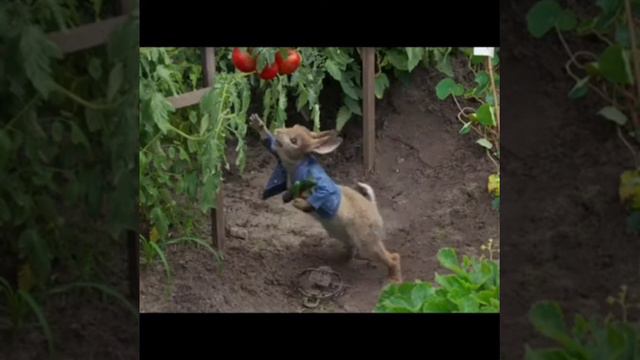 Кролик Питер (2018)Peter Rabbit