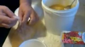 подкормка пчёл весной мёдом