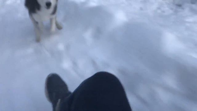 Хасячьи бега))) смотреть онлайн