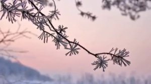 День рождения Христа