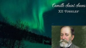 XII Camille Saint Saens - Fossiles / 432hz