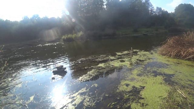 Немного рыбалки. Раздача окуня. день 2 смотреть онлайн