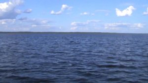 vatravel.ru  На озере Пирос (Новгородская обл)