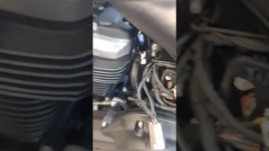 Мотоподбор. Harley-Davidson Street Bob 2018 год.
