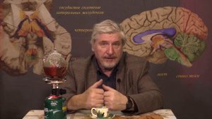 С. Савельев. Глобальный маразм крепчает-