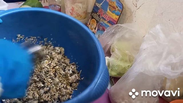 Куры в теплице.Свиные шкурки на корм птице.