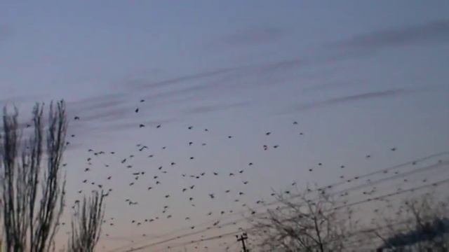 Мариуполь 24.01.19...17.30 смотреть онлайн