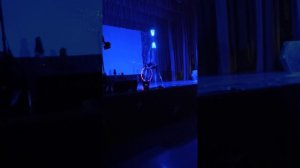Выступает девушка. Номер со светящимися предметами. (цирк)