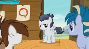my little pony blank flanks forever multi language