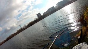 Шок, вот это рыбалка! Марьино. Рыбалка на фидер на Москва реке. Осенний фидер. Бешенный клев леща