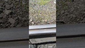 Неисправности стрелочного перевода, с которыми запрещена его эксплуатация
