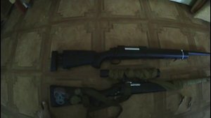 м24 vs vsr10