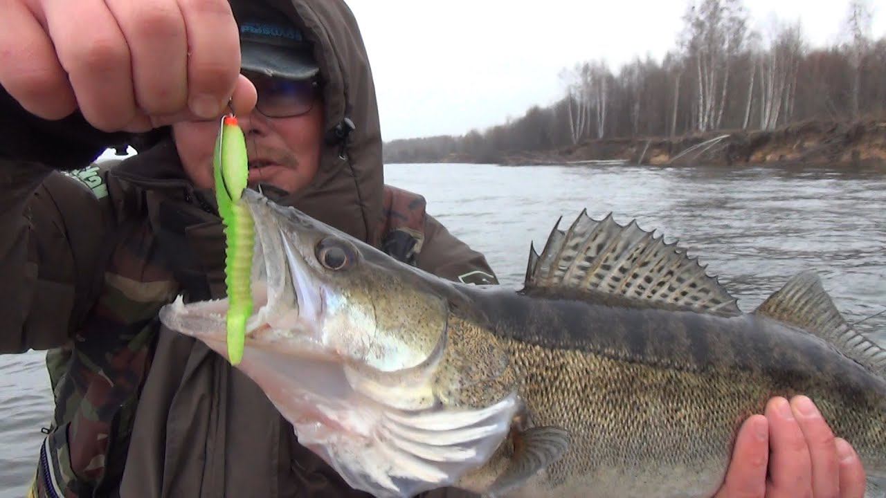 Судаки из-под коряг на поролон. Рыбалка на Волге в ноябре. смотреть онлайн