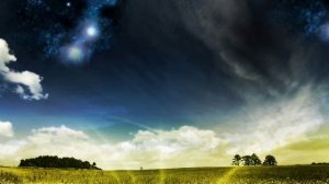 Белый орел (Владимир Жечков) - Альбион