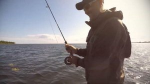 Рекордная рыба на нахлыст. Ловля щуки. Рыбалка в Эстонии