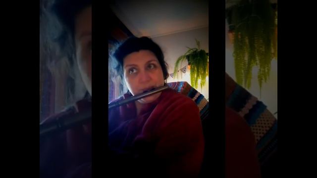 W. A. Mozart #duo ( #flute ) #studying #mozart #classical #flutist #music #worldmusic #studyingmusi