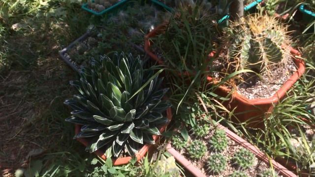 Бахчисарай. Владимир и Людмила #3 смотреть онлайн