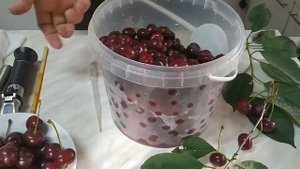 Как сделать домашний уксус из вишни