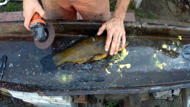 Как быстро почистить рыбу смотреть онлайн