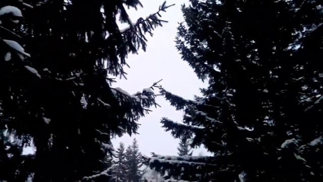 ЗИМА СНЕГ КРАСОТА! смотреть онлайн