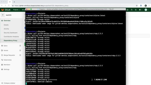 Dependency Proxy for containers. GitLab v11.11 смотреть онлайн