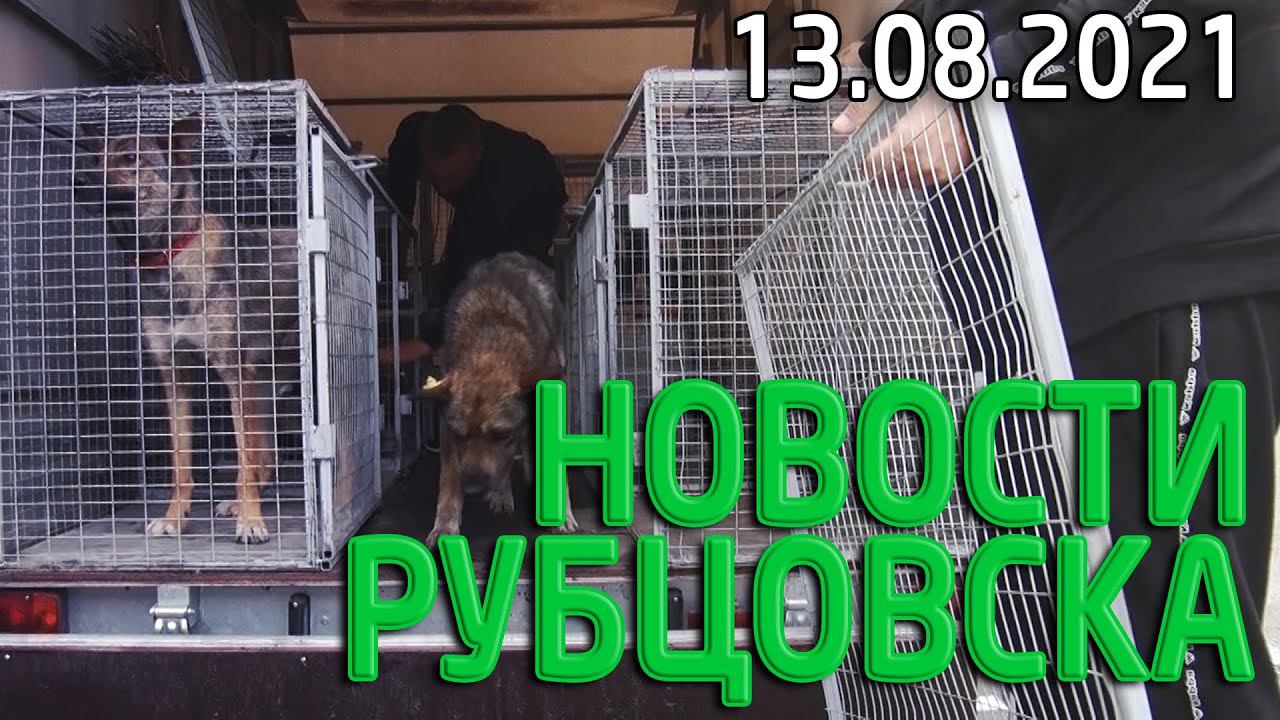 Новости Рубцовска (13.08.2021)