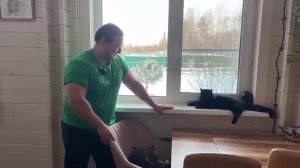 Мы тут!)