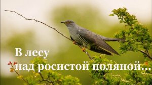 🐦 С. Маршак. В лесу над росистой поляной | Стихи о природе поэтов 20 века