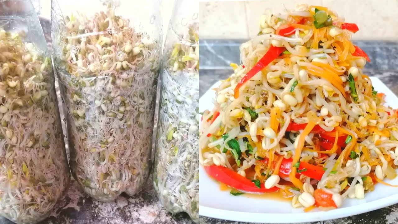 САЛАТ КОТОРЫМ СРАЗИТЕ ВСЕХ!/САЛАТ ИЗ ПРОРОСШИХ БОБОВ /Салаты на праздничный стол/КАК ПРОРАСТИТЬ БОБЫ смотреть онлайн