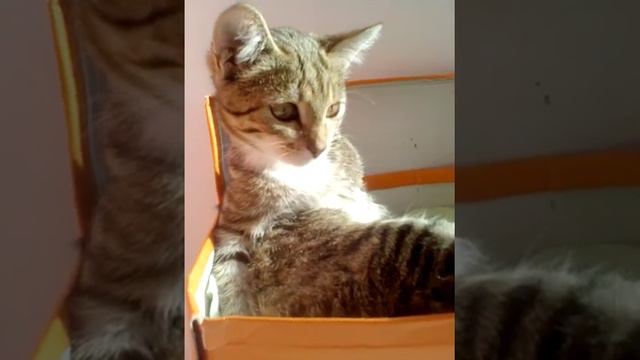 Не знаю про что снять видео😱 смотреть онлайн