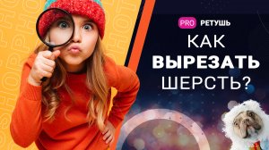 Как вырезать шерсть/волосы в photoshop?