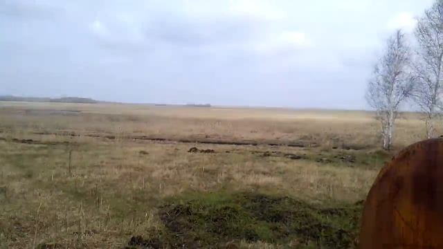 электропастух про-6 (овцы на пастбище) смотреть онлайн