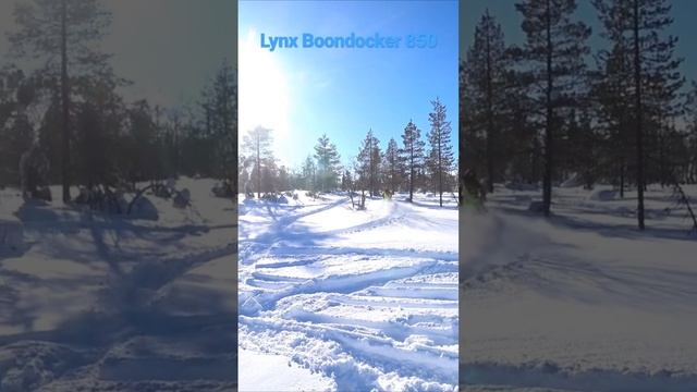 Brp Lynx Boondocker 850 #кандалакша #snow #boondocker #снегоход