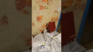 ЛУЧШИЙ ЭЛЕКТРОПАСТУХ(СТАТИК-3М)