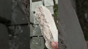 Пеногипс идея для бизнеса#2