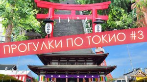 Где гуляют настоящие токийцы | Лестница удачи | Дзен в центре мегаполиса | Прогулки по Токио 3