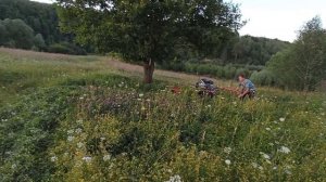 Косим и привозим траву на мотоблоке.