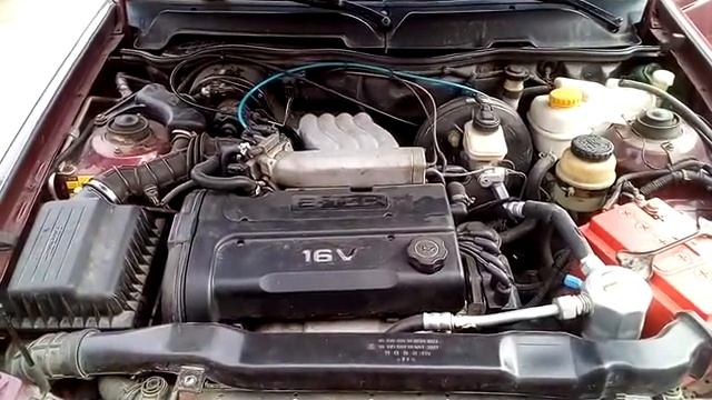 нексия смотреть онлайн