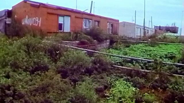 1989 год. Сургутский район. Подсобное хозяйство геологов