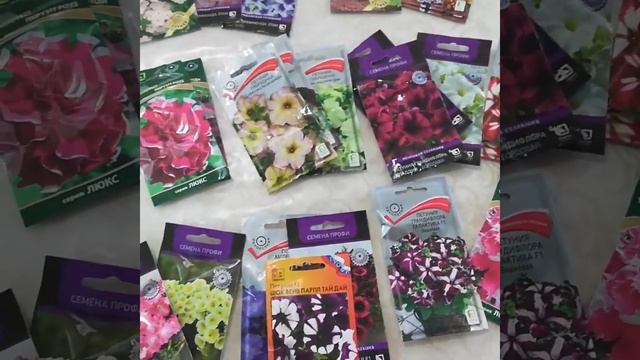 Обзор семян на сезон 2021 смотреть онлайн