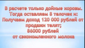 Коровник 30 голов. какой доход