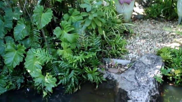 Ботанический сад | Phuket  Botanic Garden  – райский уголок на Пхукете