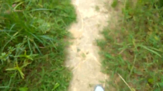 КАК НАЙТИ МАТКУ МУРАВЬЕВ?