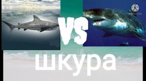 КРЕТОКСИРИНА ПРОТИВ БЕЛОЙ АКУЛЫ