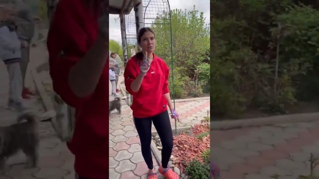 Обновляем кору лиственницы с прошлого года