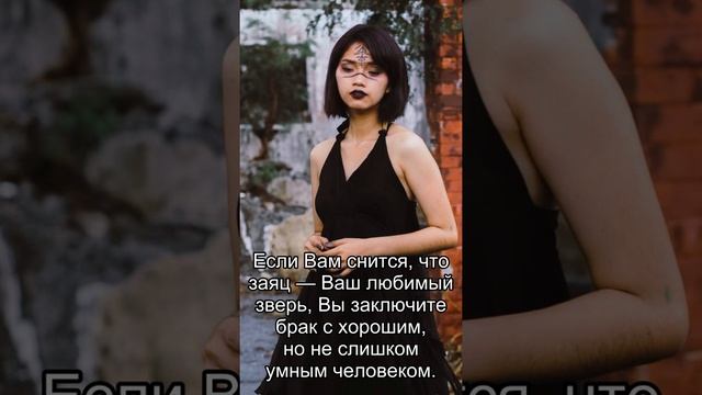 Сон дня: К чему снится Заяц? смотреть онлайн