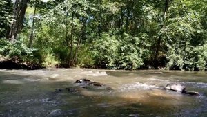 Актриса Сара Коннор из Терминатора 2 скончалась в США