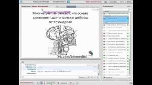 Улучшение памяти. Как улучшить память?
