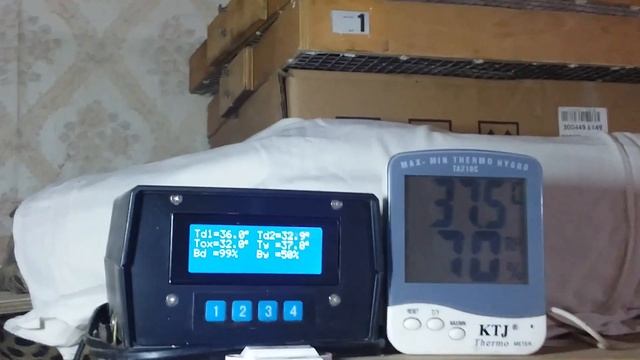 Если вы любите куриное яйцо то это видео для вас. Прямая зависимость качества яйца и инкубация яйца смотреть онлайн